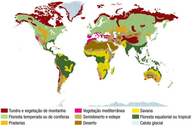 Aula de Geografia: Vegetação 